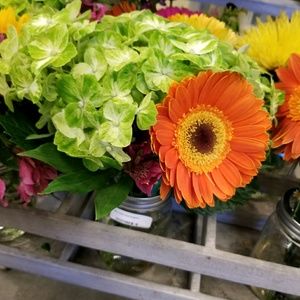 Meet your Posher, Lisette